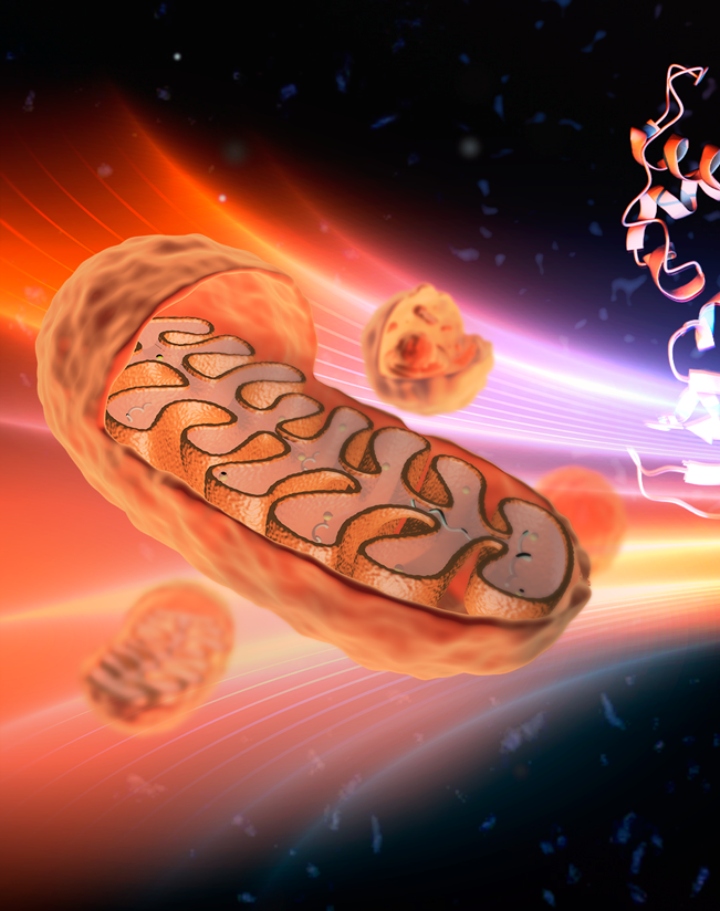 3D Molecular Model 3