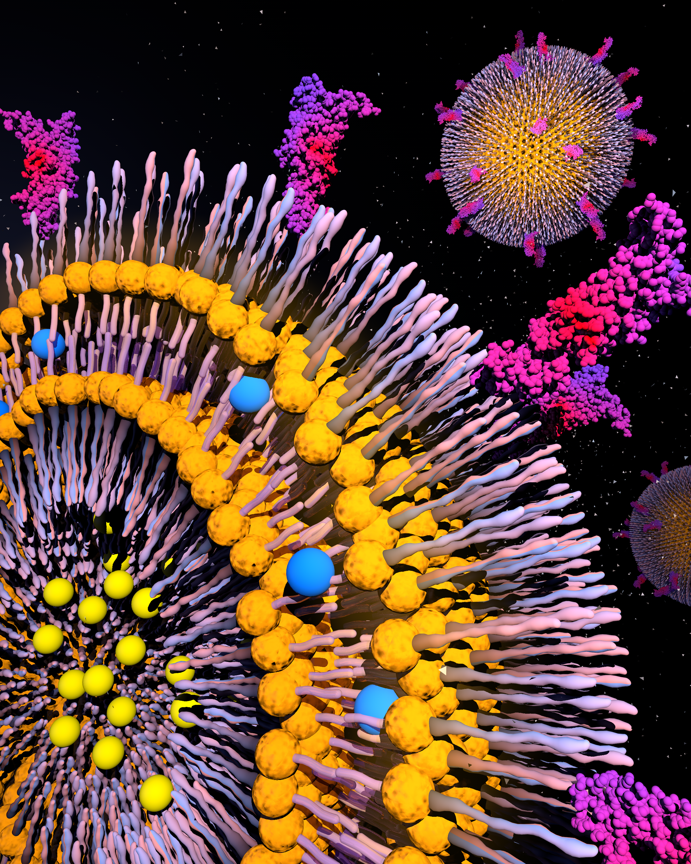 3D Molecular Model 8