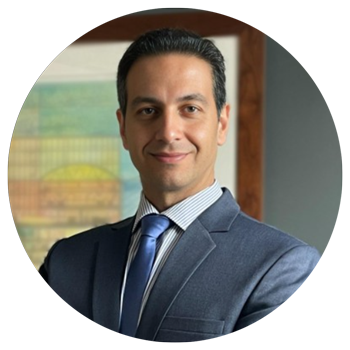 Babak Mamnoon, Ph.D.