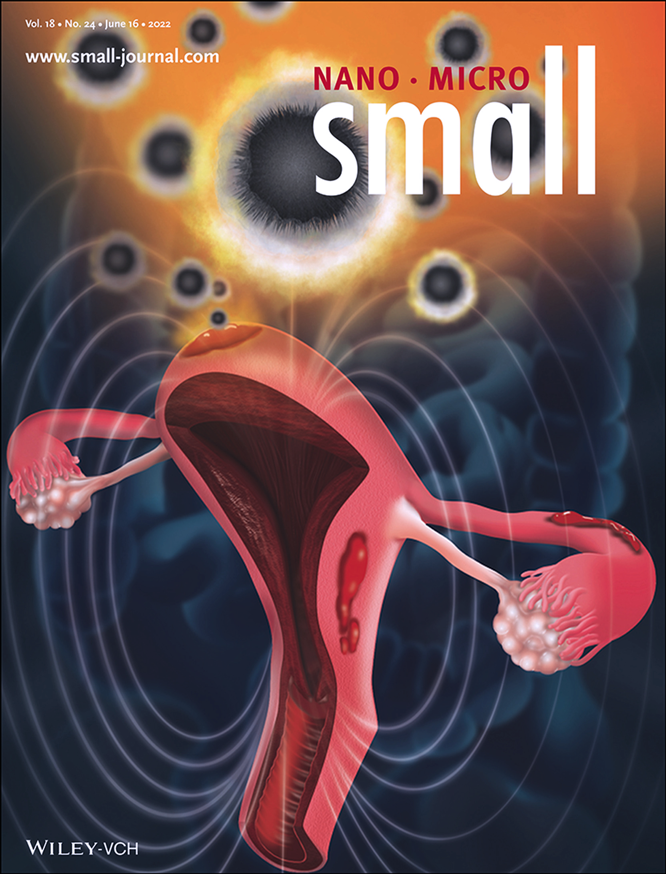 Journal Cover 1