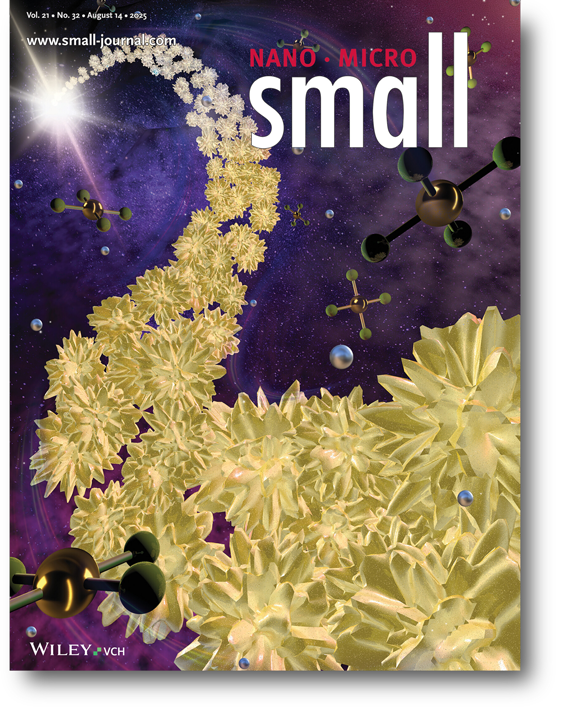 Journal Cover 6