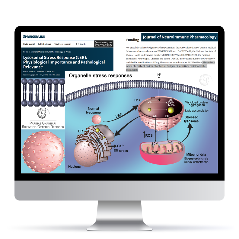 Scientific Illustration 10