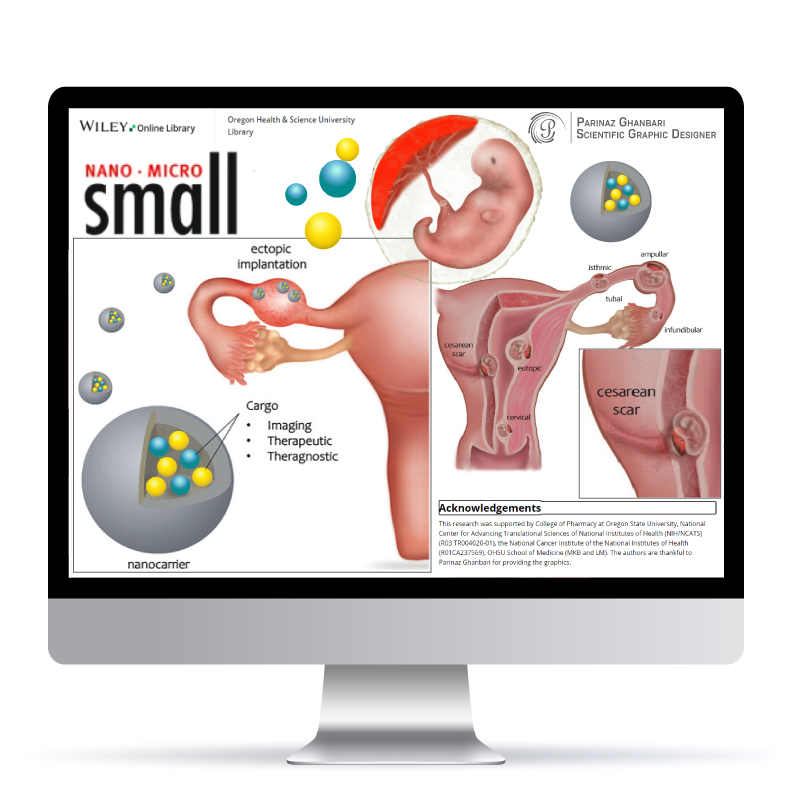 Scientific Illustration 13